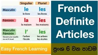 French වල ''The'' gender එක අනුව වෙනස් වෙනවද? Definite Articles in French.