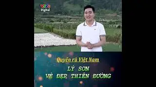 Đặc khu Lý Sơn - Vẻ đẹp thiên đường