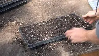 Farm Field Trip: Seeding with Chad at DC Modern Roots!