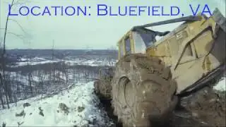 A Closer Look into the Forest Products Industry, Logging