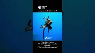 Octopus are not from Earth #viral #youtube #youtubeshorts #facts #education