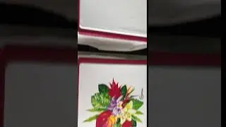 RB-4050T T-shirt printing machine with dual t-shirt pallet printing video