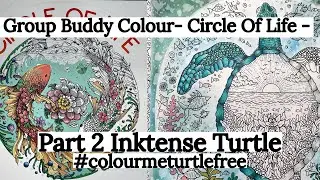 Circle Of Life Group Buddy Colour Part 2 - Come Join In!-