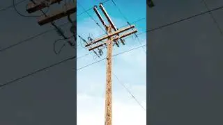 Extra-Long Wooden Utility Poles for Outdoor Applications in Oman #electricpole #muscat #oman