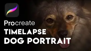 Realistic Dog Portrait Timelapse Procreate iPad Pro