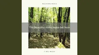 The Beautiful Violet Noise Set Now