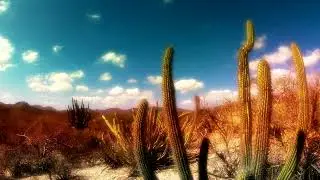 Beautiful desert landscape timelapse 4049 hd ready