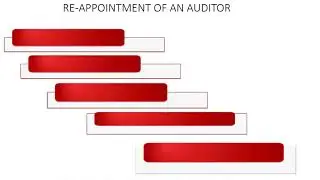 Company auditor