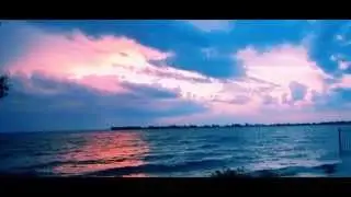 Husky Studio Nature Cherkasy