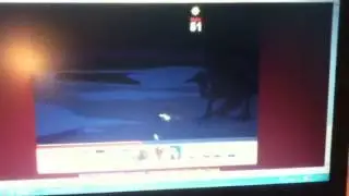 Dragonfable ending of the orb saga