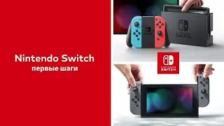 Nintendo Switch &mdash; Первое включение