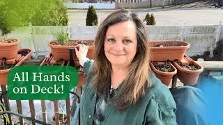 Spring Container Gardening | How to Prep Containers for Spring Planting