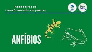 Anfíbios