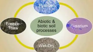 Winter environmental conditions have large effects on grass recruitment