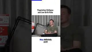 population collapse and low birth rate by Elon Musk