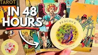 They crawl back but you're too busy! | What you don't see coming... Tarot Reading