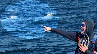 Seeing WHALES For The First Time!! San Diego Whale Watching Tour