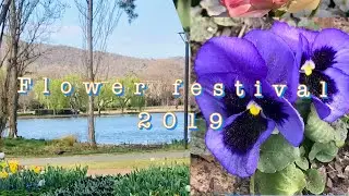 Flower Festival 2019(The Incredible beauty of Floriade in Canberra&rsquo;s Commonwealth Park)
