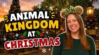 Animal Kingdom at Christmas 🎄 | Animal Kingdom Lodge Visit | Disney World Trip 2025
