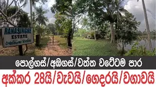 අක්කර 28යි, වැවයි, ගෙදරයි, පොල්ගස් 1000කට වැඩියි..උඩුබද්දාව නාත්තන්ඩිය අතර..