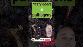 #1 Worm Farming Mistake #shorts