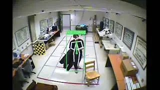 Vision-based Fall Detection using Pose Estimation (weakness 2)