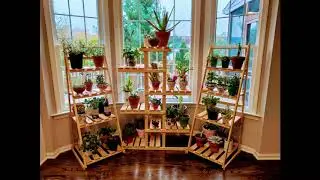 DIY Plant Stand