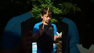 The Paper Boat Race