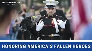 Honoring America's Fallen Heroes