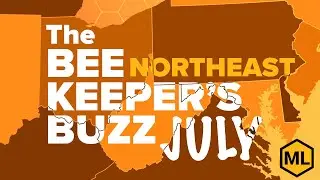 The Beekeeper's Buzz Northeast Region: July 2025