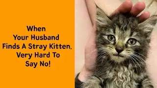 50 Wholesome Pics Of Adopted Pets That Will Make Your Day - Rescue pet