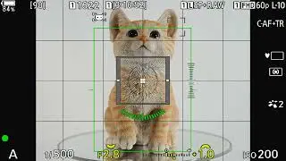 OM SYSTEM OM-1 Detect face & eye C-AF+TR