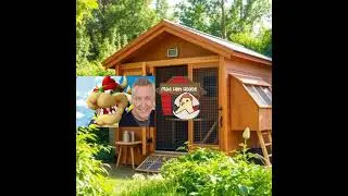 Chicken Coop - Scott Burns Interview