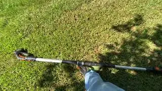 Pruning crape myrtles Aug 28, 2025 #323