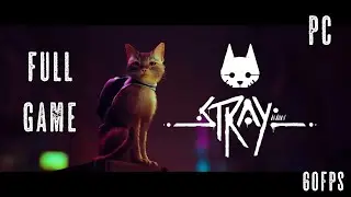 STRAY! ПОЛНОЕ ПРОХОЖДЕНИЕ! ИГРОФИЛЬМ! FULL GAME! FULL WALKTHROUGH!