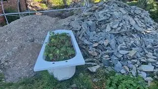 Life in the forest garden - polytunnel & tree nursery update - bits and pieces - writer's lifestyle