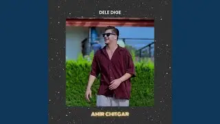 Dele Dige