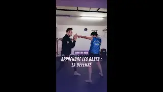 APPRENDRE LES BASES : LA D&Eacute;FENSE EN BOXE CHINOISE