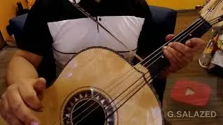 Guitarrón *No me queda más*