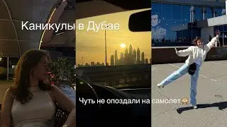 САМОЛЕТ ЗА 100 000 рублей | FIRST CENTRAL HOTEL SUITES | ПЕРЕСАДКА В ДАГЕСТАНЕ | ЭКСКУРСИИ