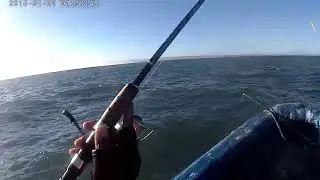 UN SABADO DE CAPTURA EN SAN ANTONIO