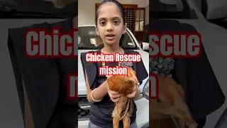I Tried Everything&hellip; But I Lost Her | #poultryfarming #poultry #desichicken