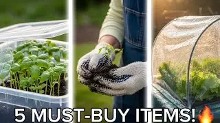 Садовые находки из Dollar Tree, которые я покупаю каждый год (2026)