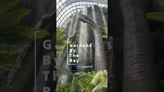 Learn AboutAncient Plants from Dinosaur 🦖 Era!