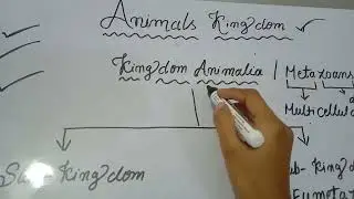 Animal kingdom(Part-1) basic intro...... (for class 11th /12th as well as boards /(Bsc 1st semester)