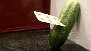 How to throw cards 5 diffrent ways cutting water melon and pumpkin also hard boiled egg with shell