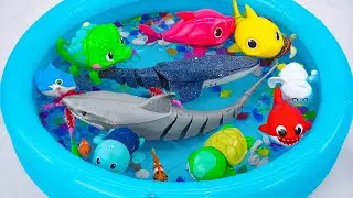 Toy ASMR | Unboxing RC White Shark & Killer Whale & Baby SharkAquarium 💛Water Toy Fun