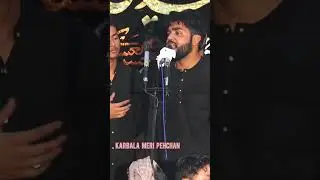 Subbat Alayya Masyabun Kamal Mehdi Manglouri #shots #viral #new #noha #salamhussain #live #azadari