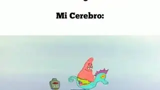 RELLENO RELLENASTICO