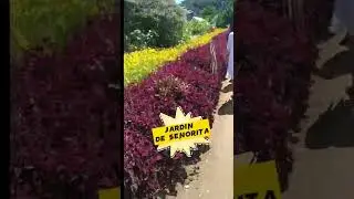 visit camp sabros@jardindesinorita